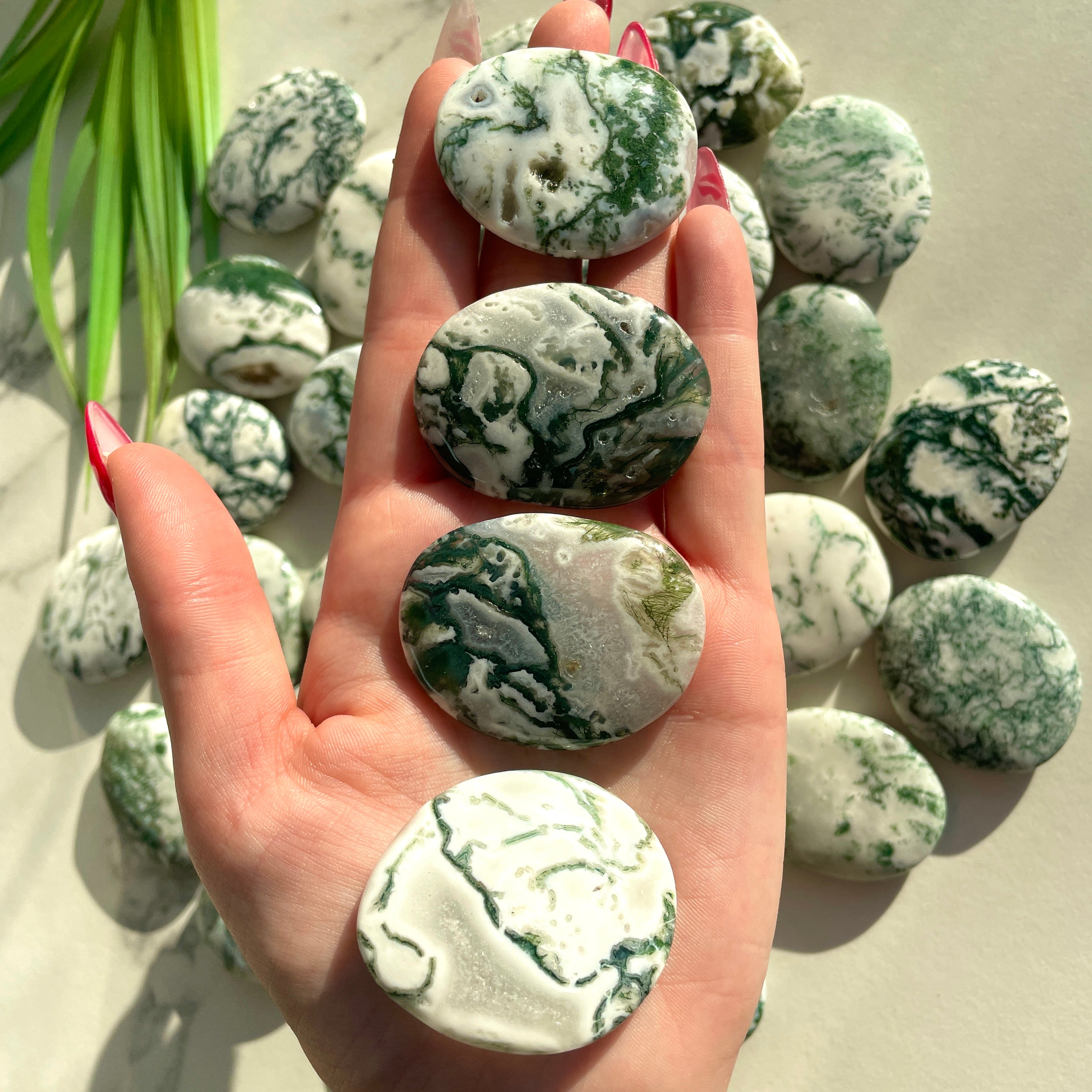 Pocket Palm Stone - Tree Agate Pocket Palm Stone - Tree Agate